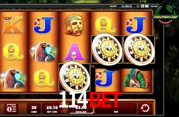 Apostas Esportivas na 114bet: Um Guia Completo