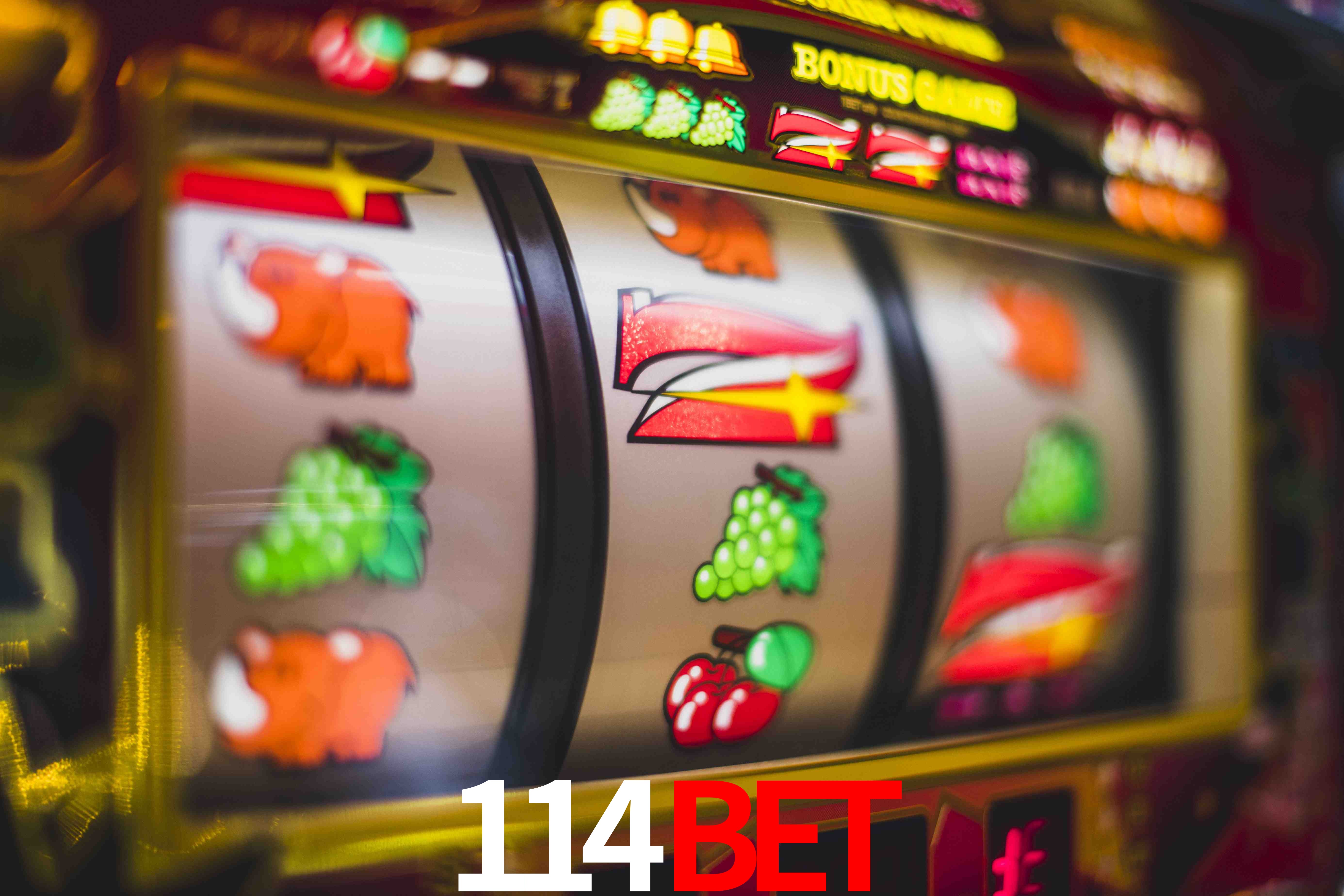 Sports Statistics 114bet